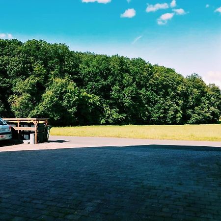Appartamento 76 Qm Whg Im Eg Haus-Wohlfuehloase Vor Der Haustuer Gladenbach Esterno foto
